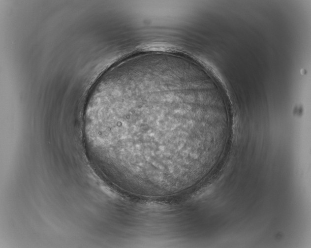 X0000111780529200907301123