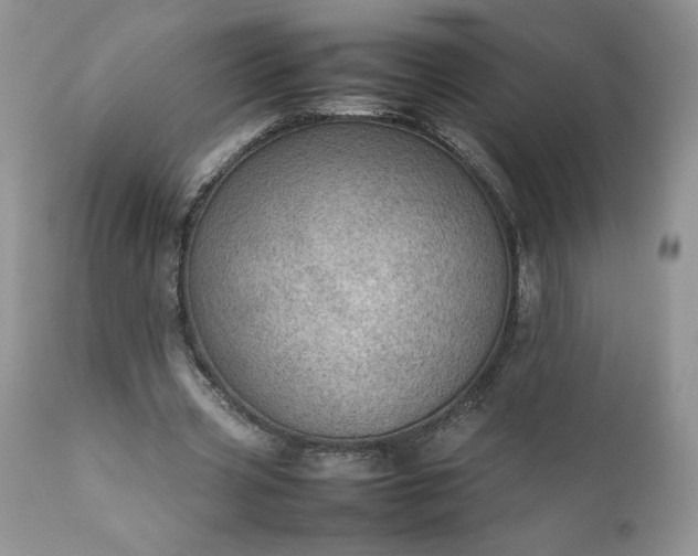X0000111780533200907301123