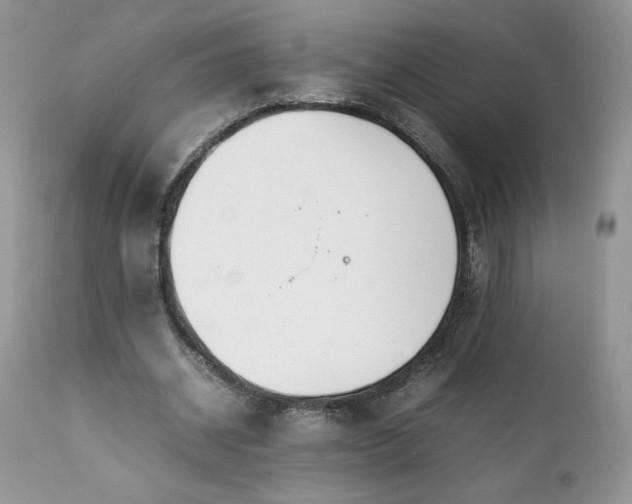 X0000111780534200907301123