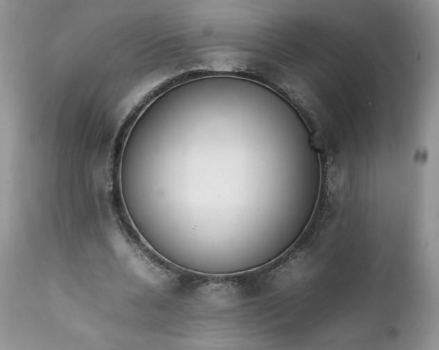 X0000111780536200907301123