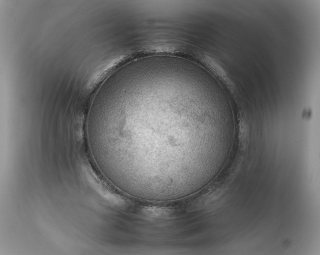 X0000111780537200907301123