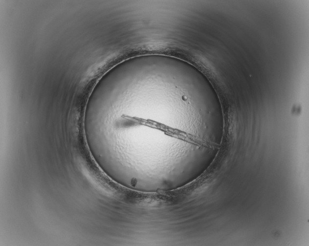 X0000111780542200907301123