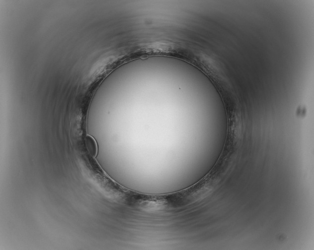 X0000111780548200907301123