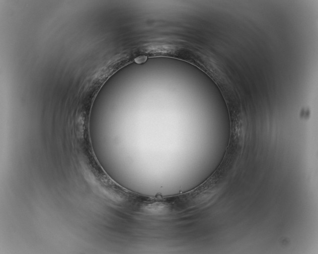 X0000111780551200907301123