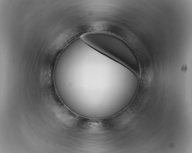 X0000111780552200907301123