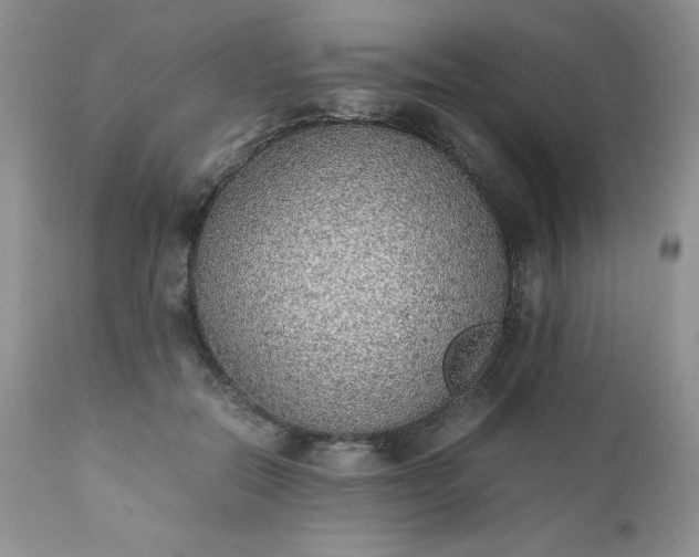 X0000111780554200907301123