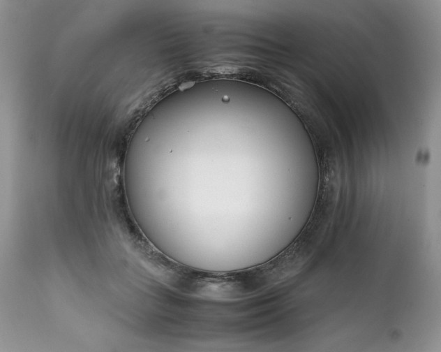 X0000111780555200907301123