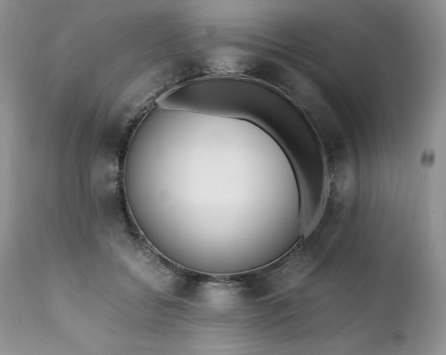 X0000111780556200907301123