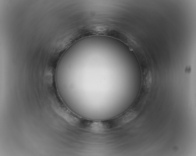 X0000111780562200907301124