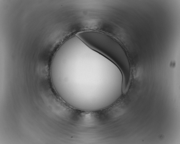 X0000111780564200907301124