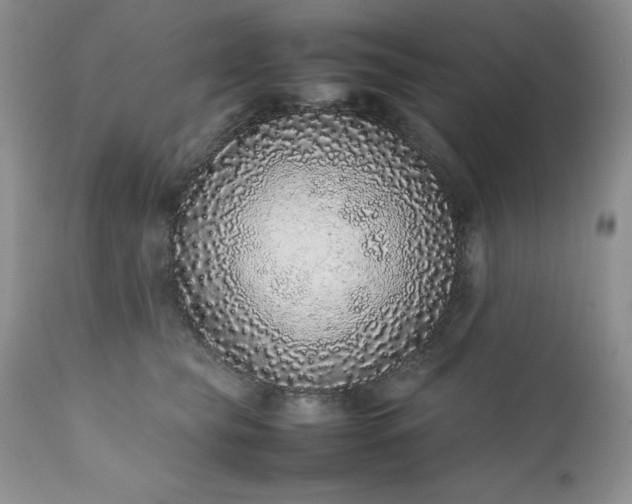 X0000111780565200907301124