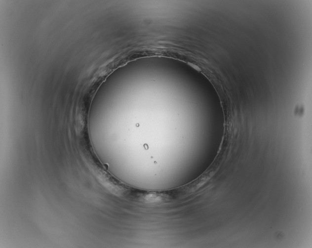 X0000111780566200907301124