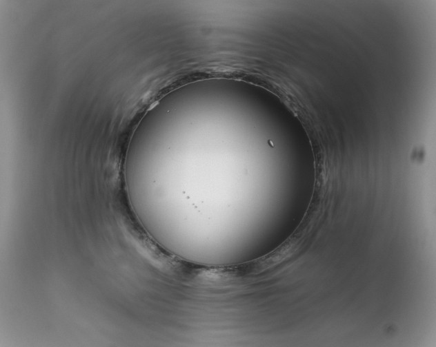 X0000111780568200907301124