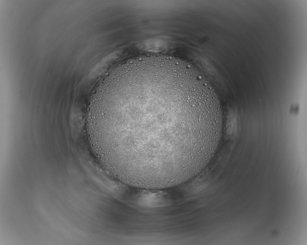 X0000111780569200907301124