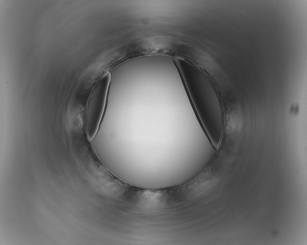 X0000111780570200907301124