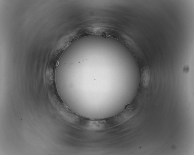 X0000111780571200907301124
