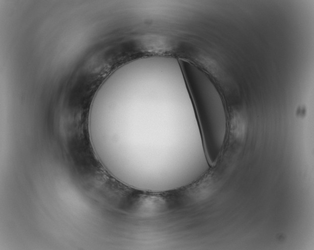 X0000111780572200907301124