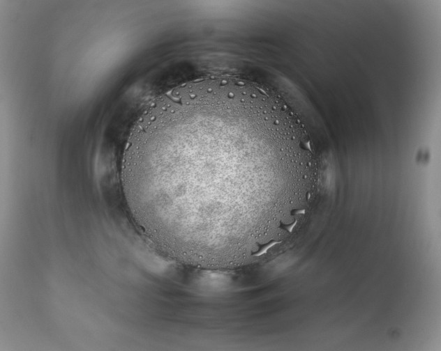 X0000111780573200907301124