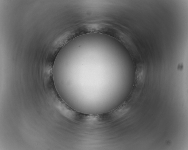 X0000111780574200907301124