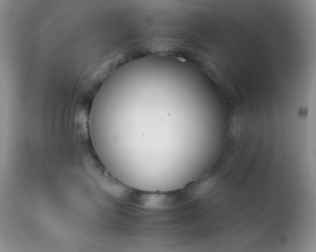 X0000111780575200907301124