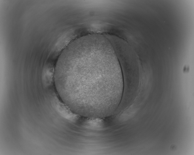 X0000111780576200907301124