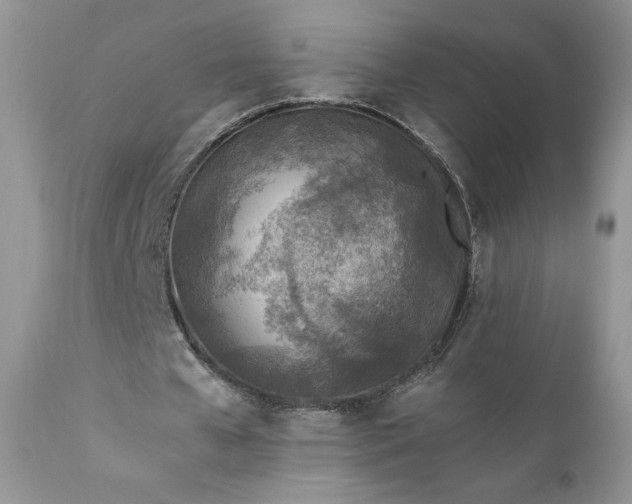 X0000111780577200907301123
