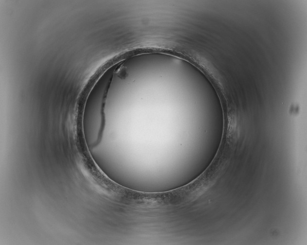 X0000111780580200907301123