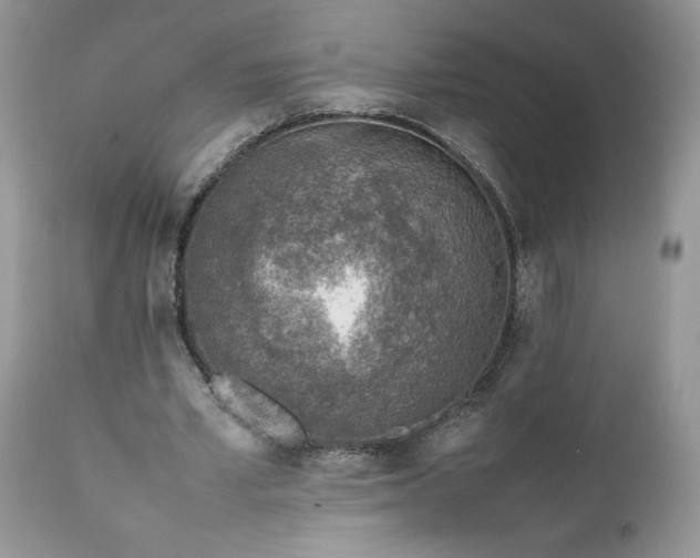 X0000111780581200907301123