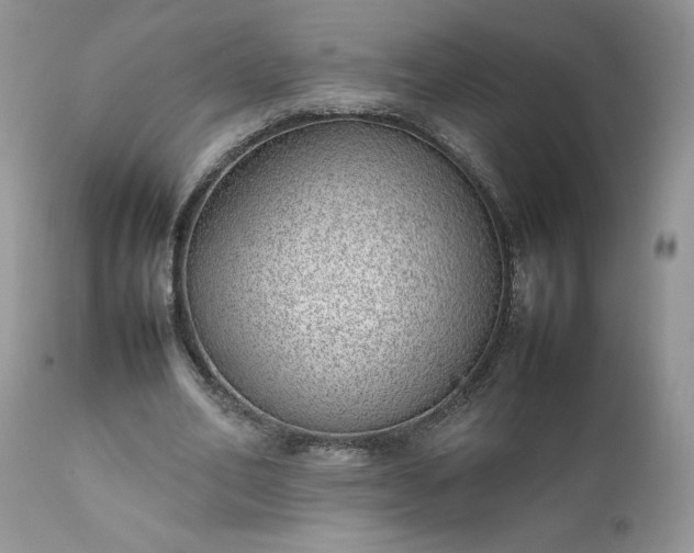 X0000111780582200907301123