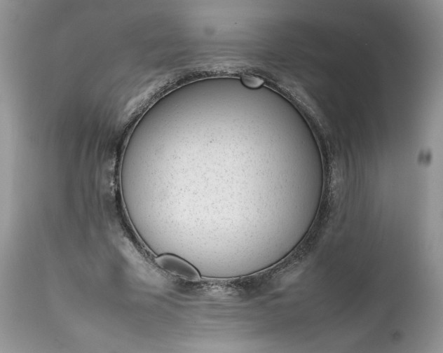 X0000111780585200907301123