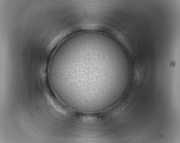 X0000111780586200907301123