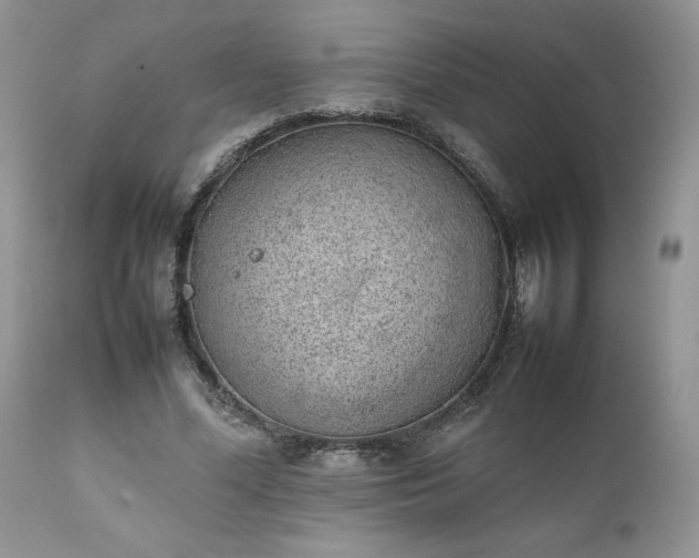 X0000111780588200907301123
