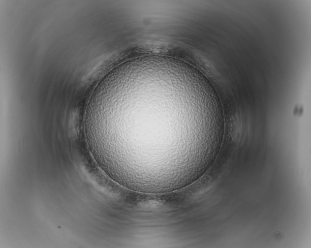X0000111780594200907301122