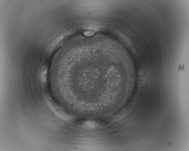 X0000111780596200907301122