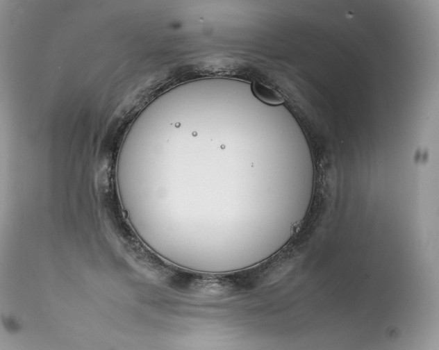 X0000111780597200907301122