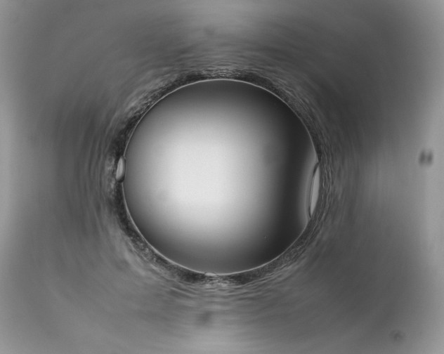 X0000111780599200907301122