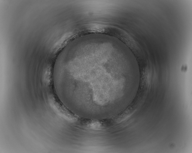 X0000111780600200907301122