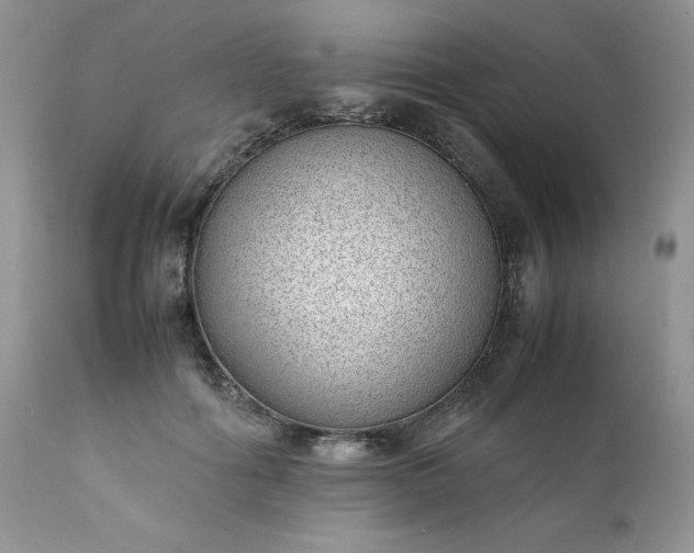 X0000111780602200907301122