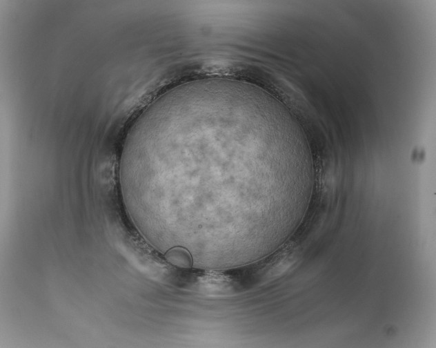 X0000111780603200907301122