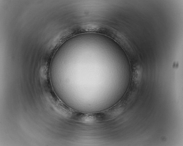 X0000111780604200907301122