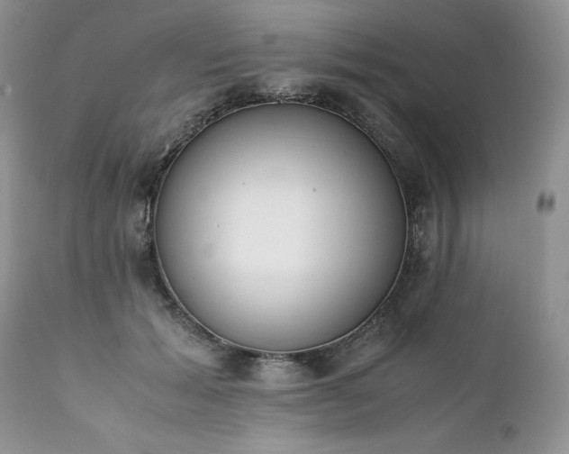 X0000111780605200907301122
