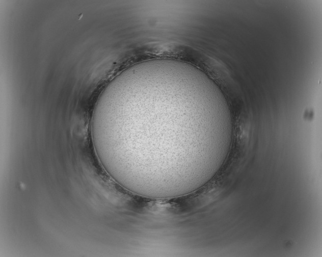 X0000111780607200907301122