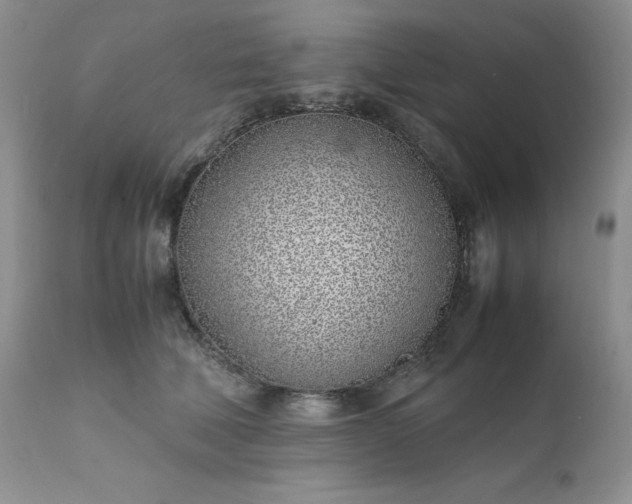 X0000111780610200907301122