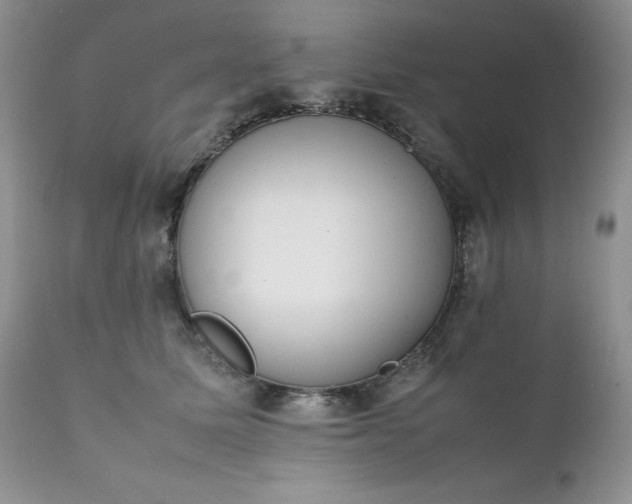 X0000111780611200907301122