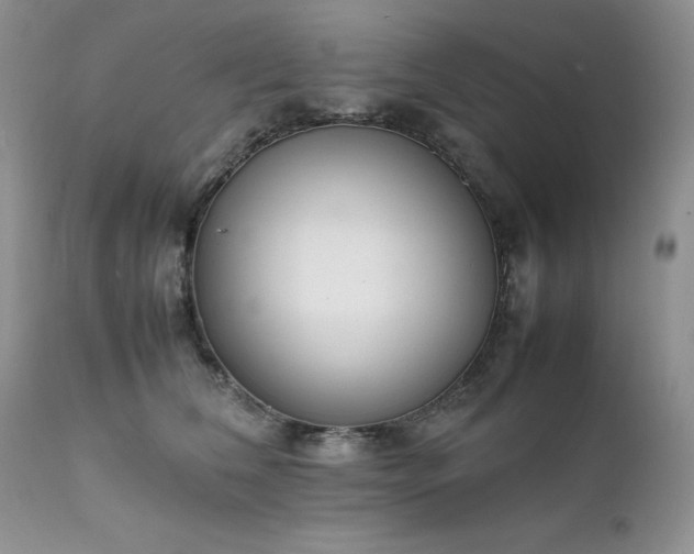 X0000111780612200907301122