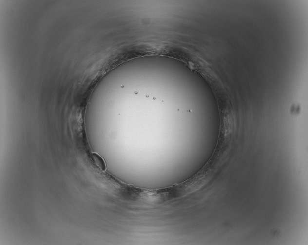 X0000111780613200907301122