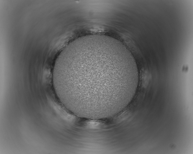 X0000111780614200907301122
