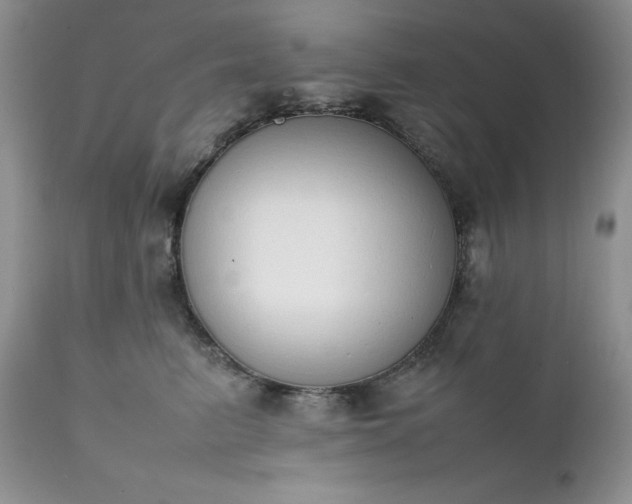 X0000111780615200907301122