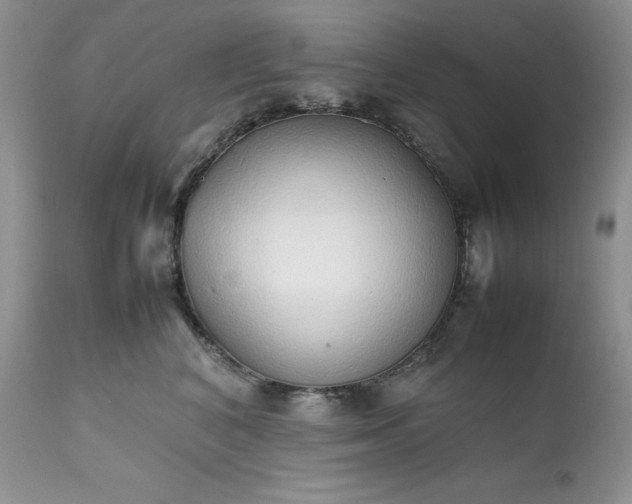 X0000111780616200907301122
