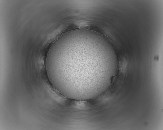 X0000111780618200907301122